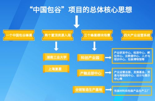 株洲推動(dòng)食品與包裝產(chǎn)業(yè)對接，億元級(jí)標(biāo)桿項(xiàng)目落地的全流程策劃與服務(wù)實(shí)踐